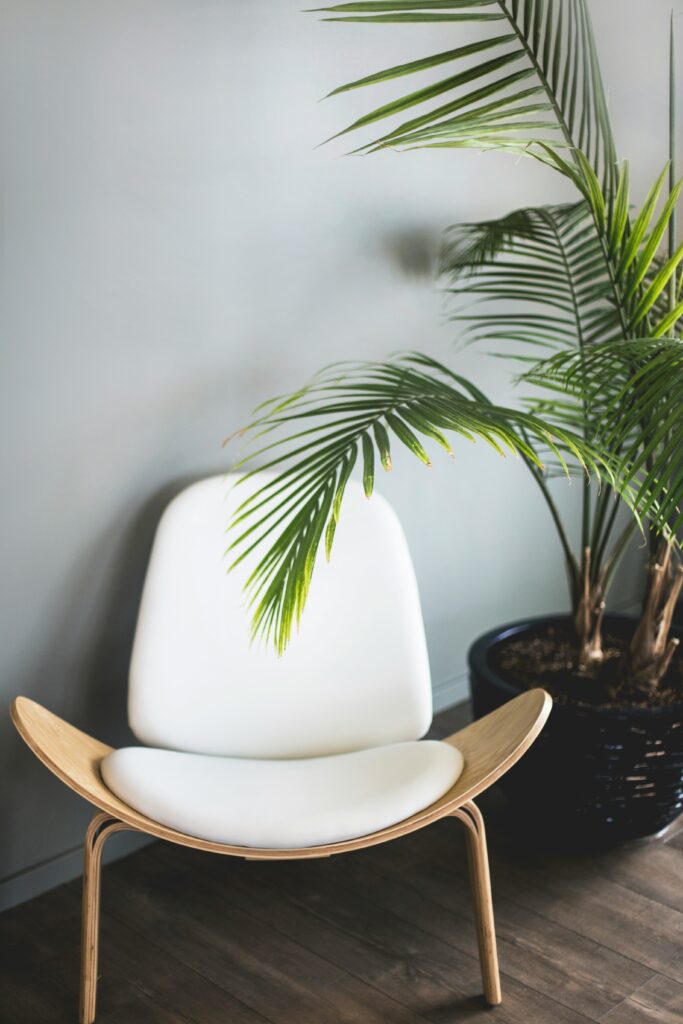 CHAIR FOR SHOW