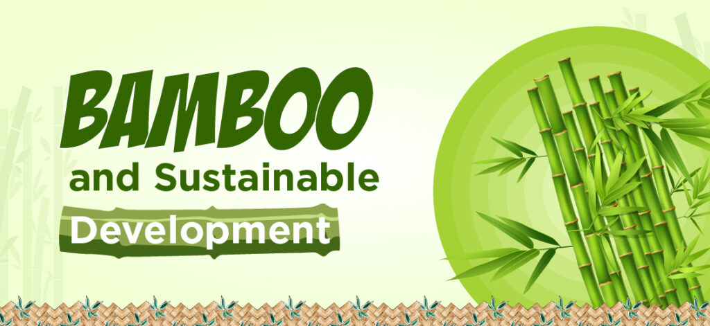 What Makes Bamboo Furniture So Unique?